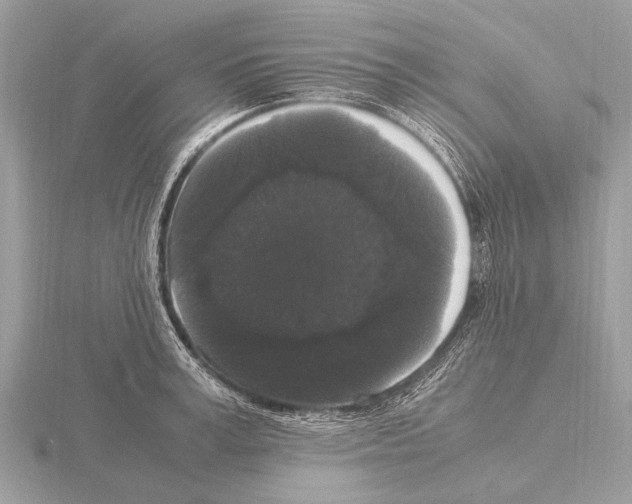 X0000115340995200912141236