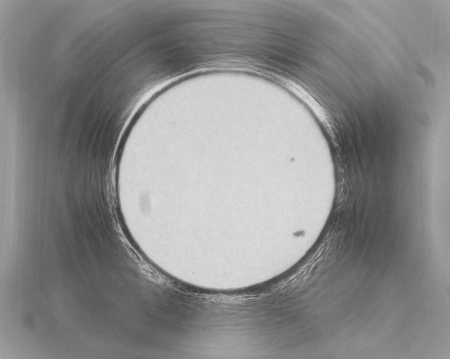 X0000115340996200912141236