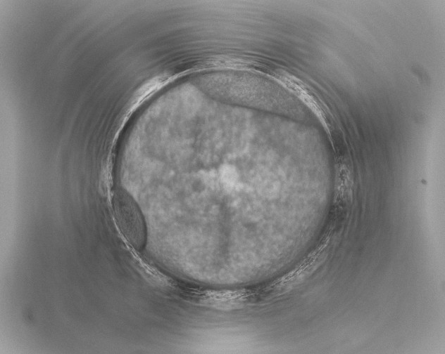 X0000115340997200912141236