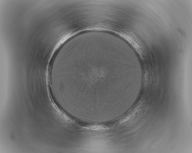 X0000115340998200912141236