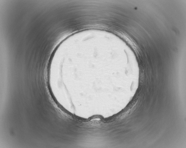 X0000115340999200912141236