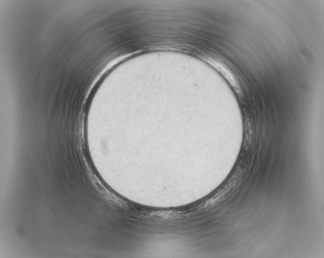 X0000115341000200912141236