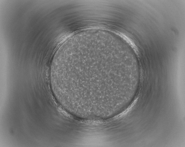 X0000115341001200912141236