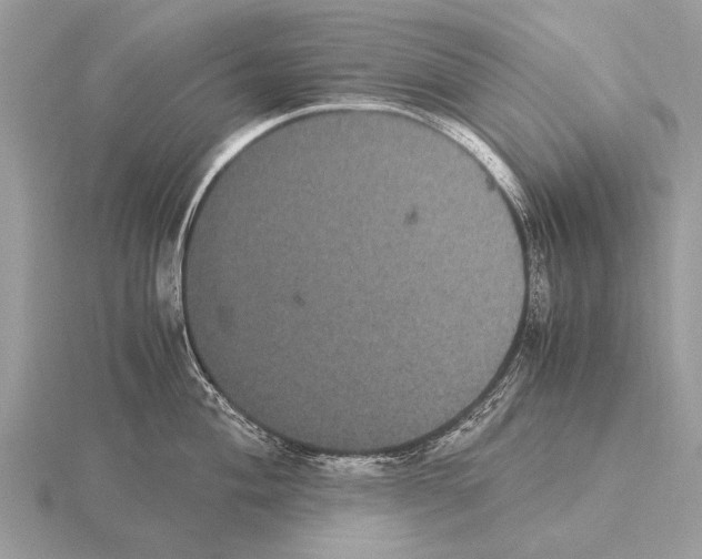 X0000115341004200912141236