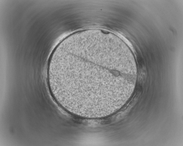 X0000115341005200912141236