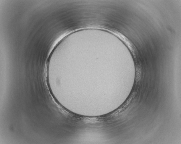 X0000115341006200912141236