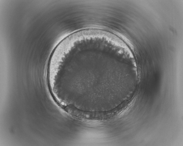 X0000115341007200912141236