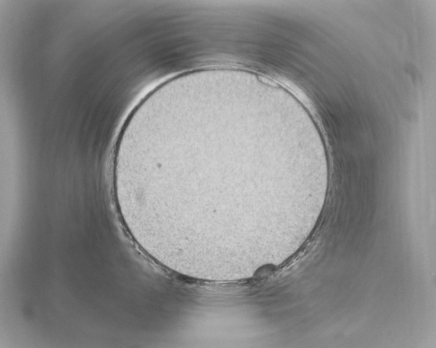 X0000115341008200912141236