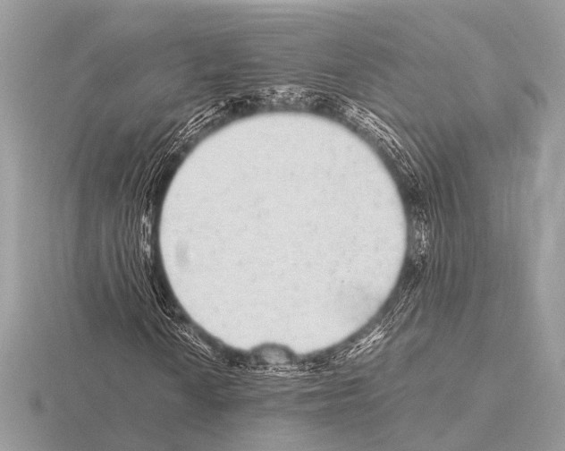 X0000115341010200912141235