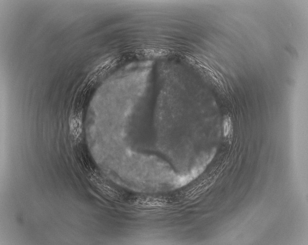 X0000115341011200912141235