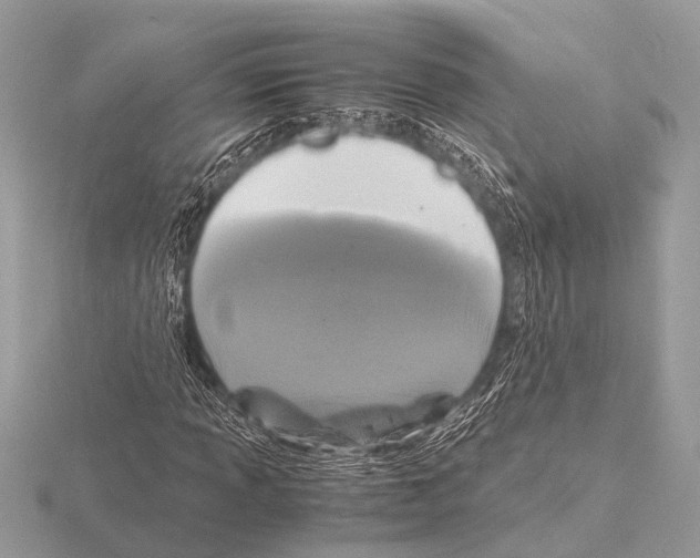 X0000115341013200912141235