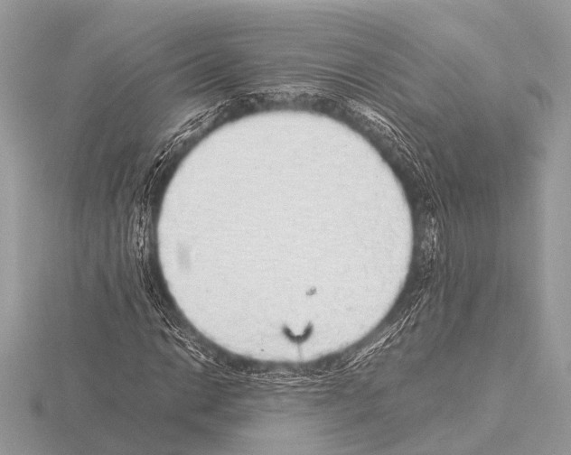 X0000115341014200912141235