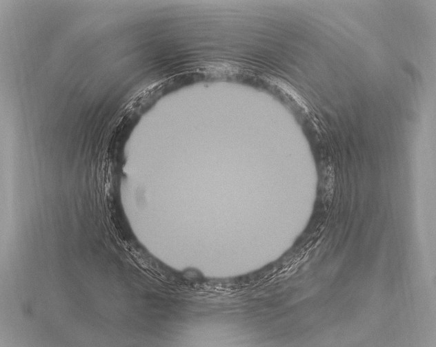 X0000115341016200912141235