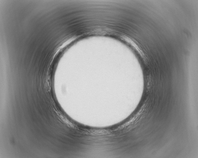 X0000115341018200912141235