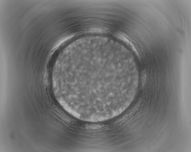 X0000115341019200912141235