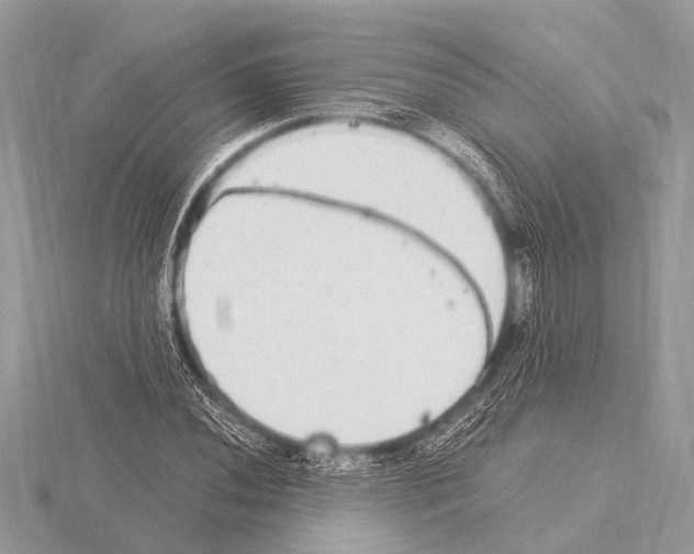 X0000115341020200912141235