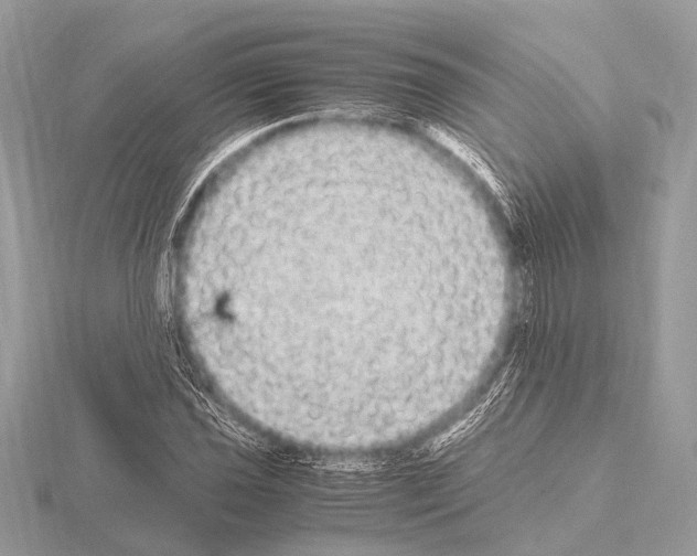 X0000115341021200912141235