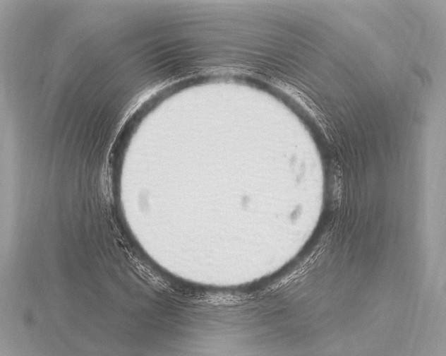 X0000115341022200912141235