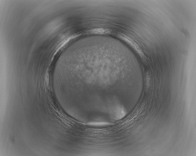 X0000115341023200912141235