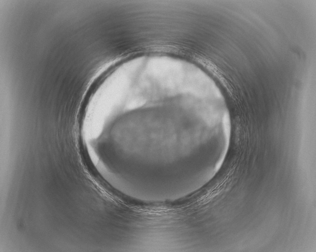 X0000115341024200912141235