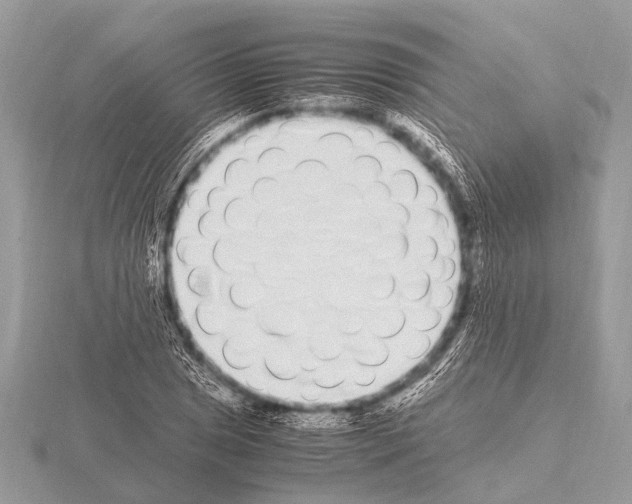 X0000115341025200912141235