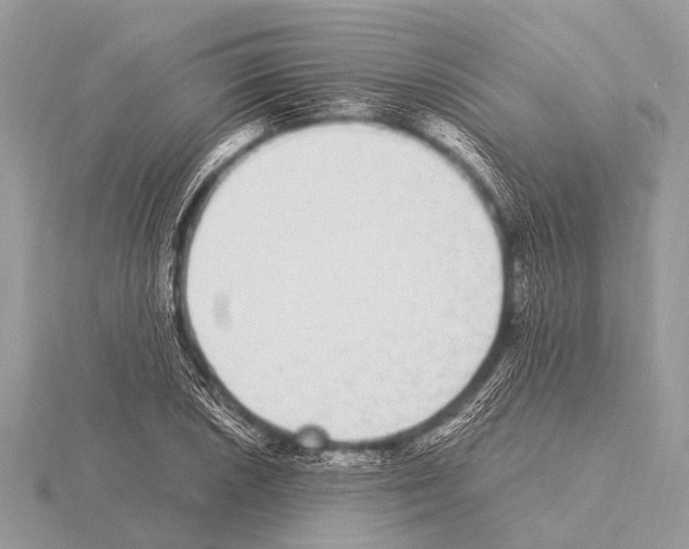 X0000115341026200912141235