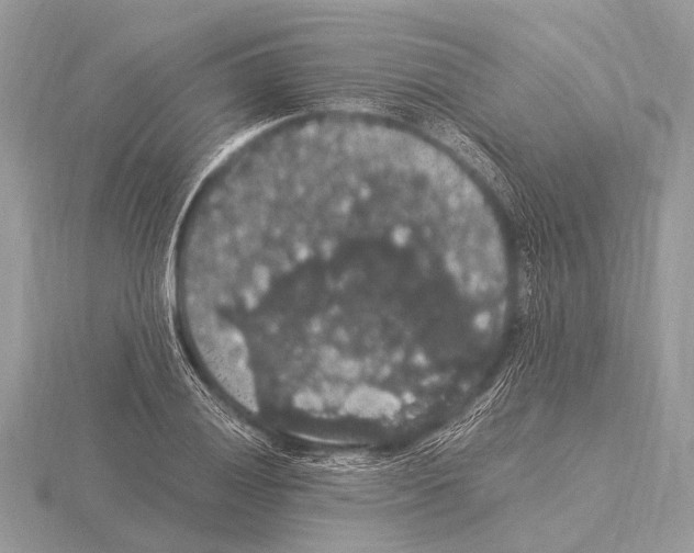 X0000115341028200912141235