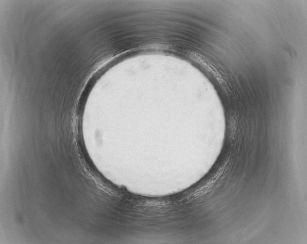 X0000115341029200912141235