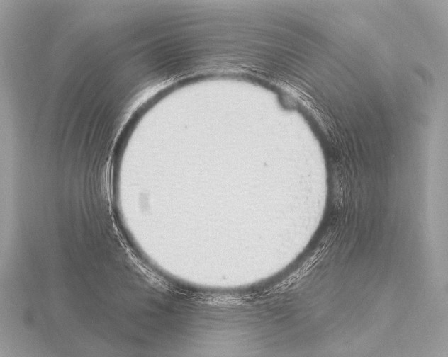 X0000115341030200912141235