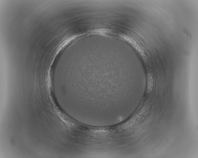 X0000115341031200912141235