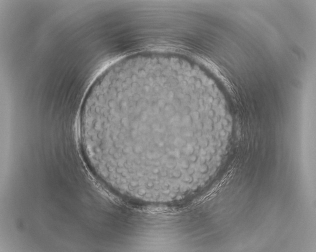 X0000115341032200912141235