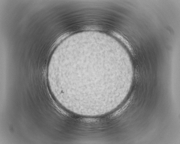 X0000115341033200912141235