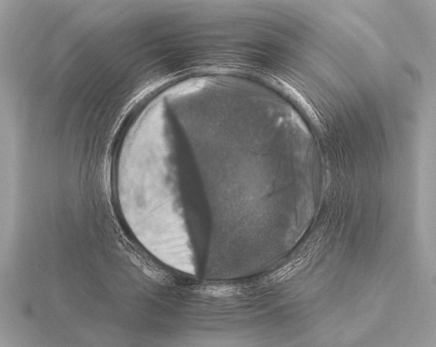 X0000115341035200912141235