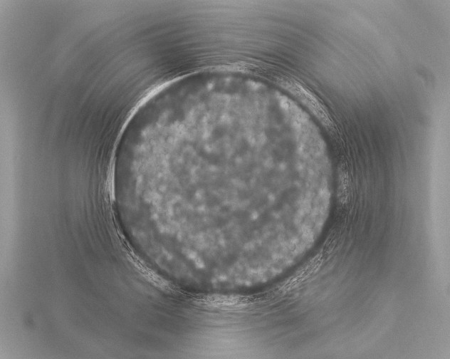 X0000115341036200912141235