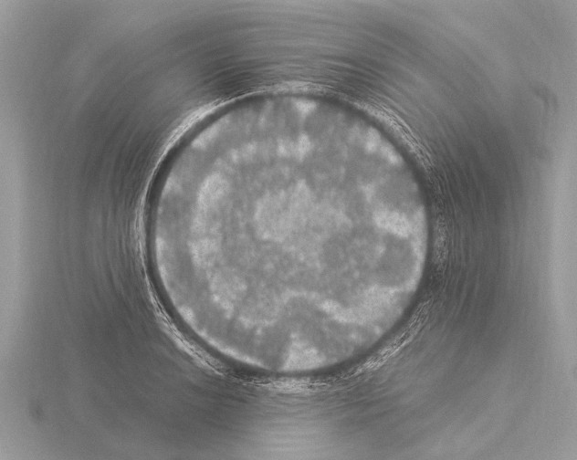 X0000115341038200912141235