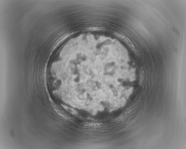 X0000115341039200912141235