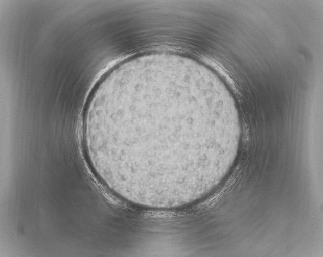 X0000115341040200912141235