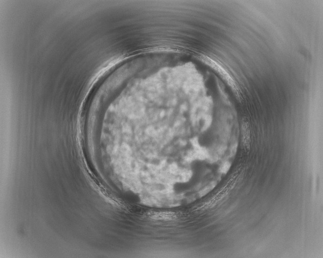 X0000115341043200912141235