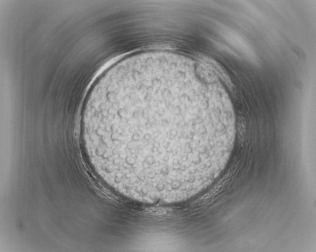 X0000115341044200912141235