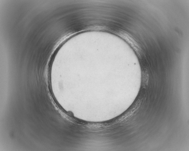 X0000115341046200912141235