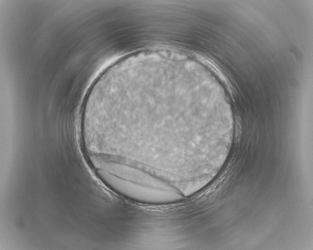 X0000115341048200912141235