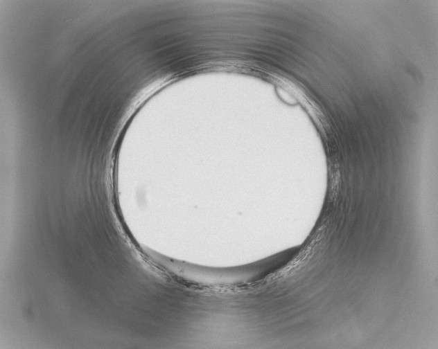 X0000115341050200912141235