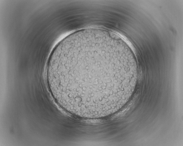 X0000115341053200912141235