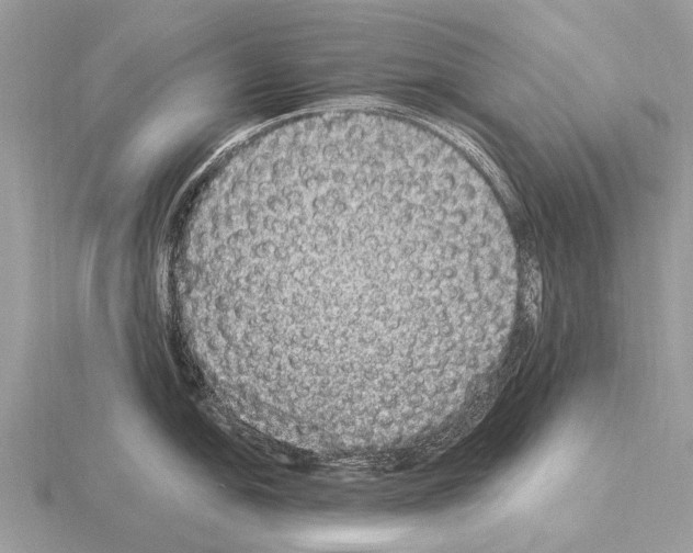 X0000115341054200912141235