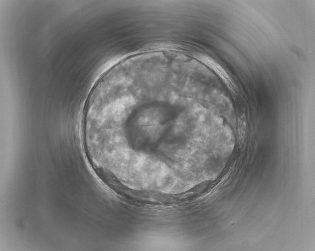 X0000115341055200912141235