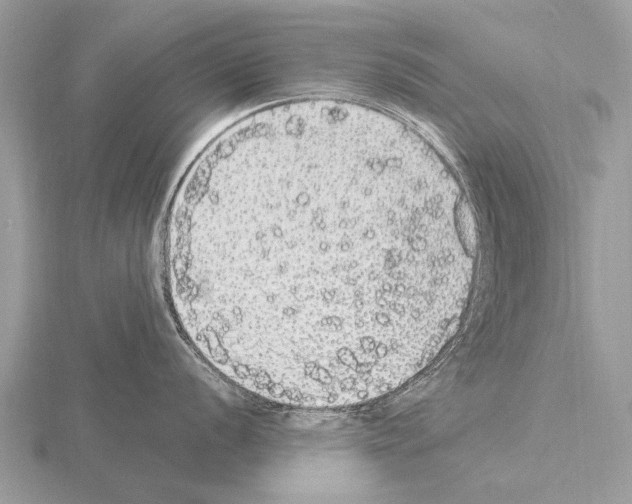 X0000115341056200912141235