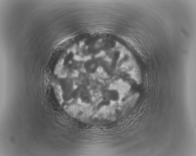 X0000115341063200912141235