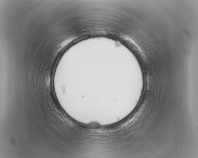 X0000115341065200912141235