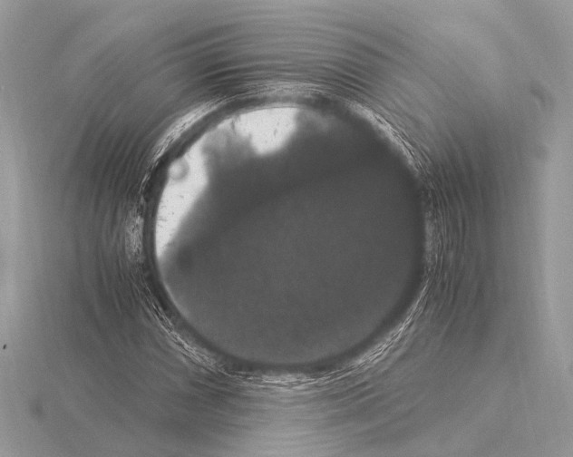 X0000115341066200912141235