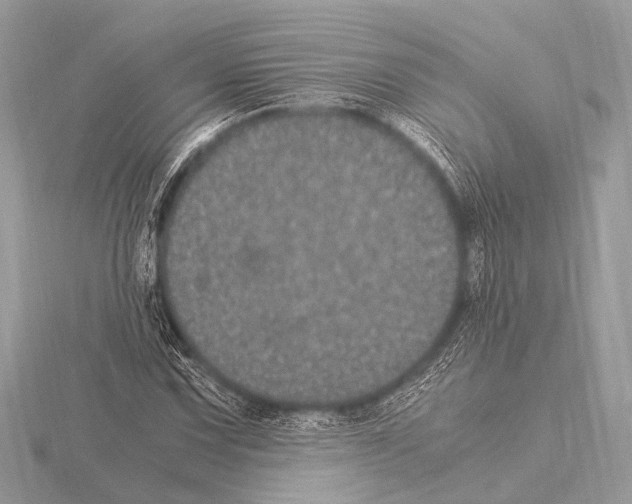 X0000115341067200912141235